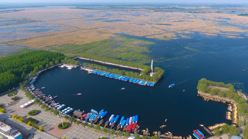 雄安這兩年:“藍綠底色”多一點