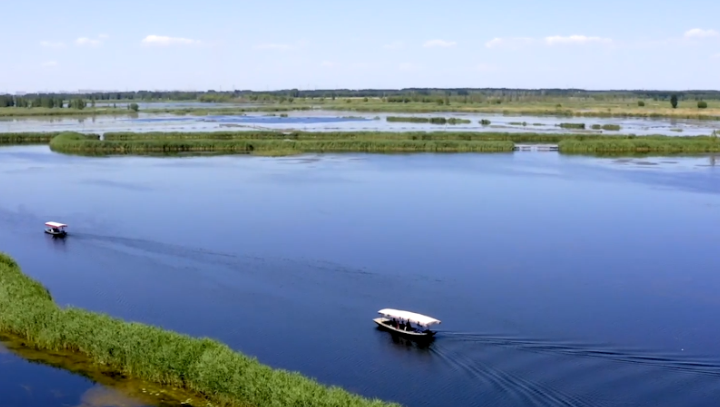 微視頻丨看！雄安城市建設(shè)“四大體系”基本形成